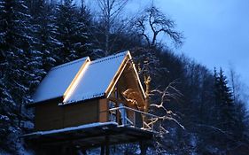 Tree House - Tara Place