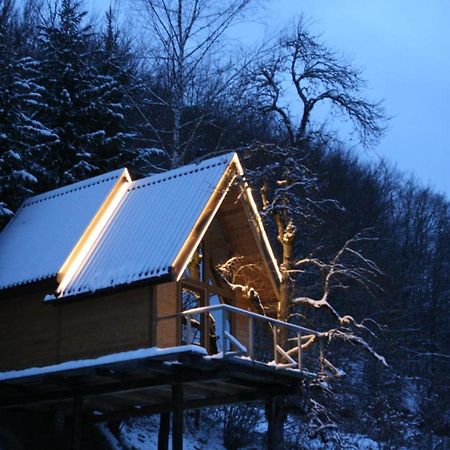 Tree House - Tara Place Mojkovac Extérieur photo