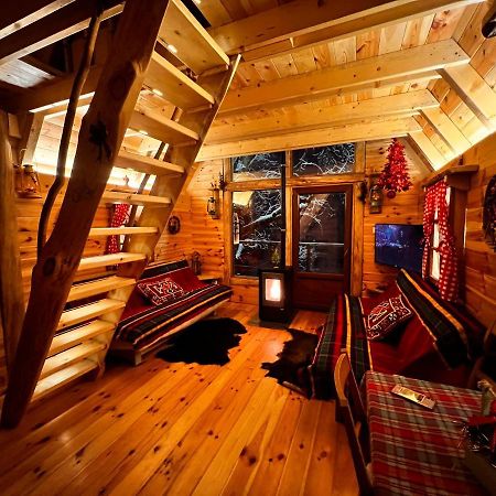 Tree House - Tara Place Mojkovac Extérieur photo