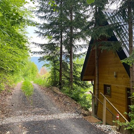 Tree House - Tara Place Mojkovac Extérieur photo
