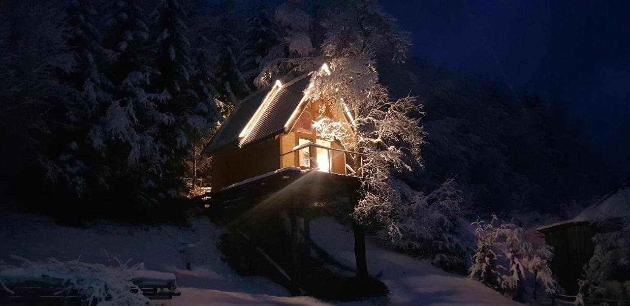 Tree House - Tara Place Mojkovac Extérieur photo