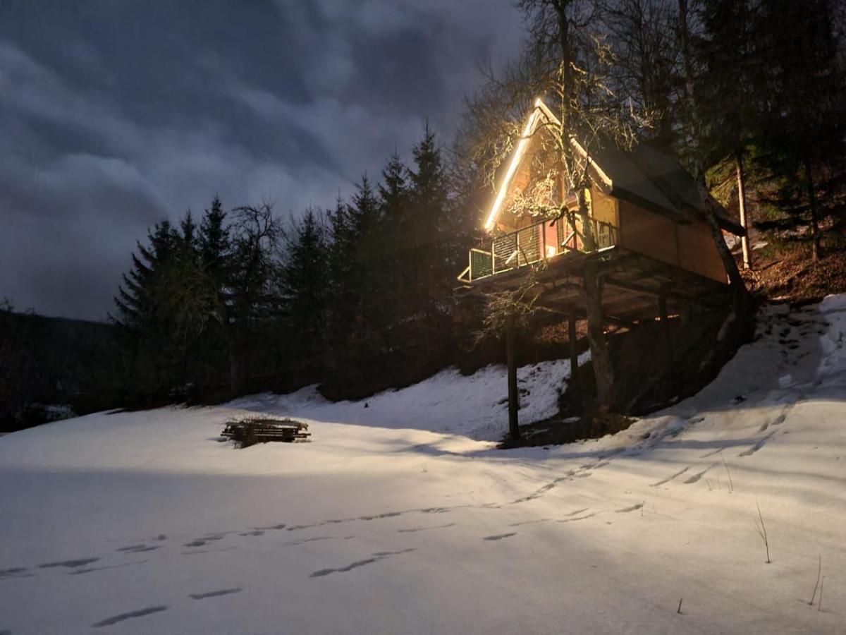 Tree House - Tara Place Mojkovac Extérieur photo