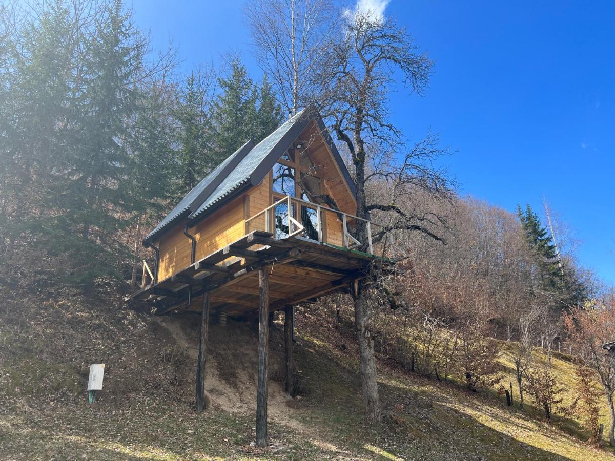 Tree House - Tara Place Mojkovac Extérieur photo