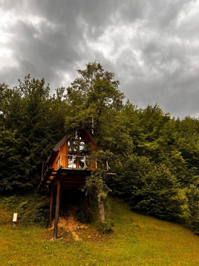 Tree House - Tara Place Mojkovac Extérieur photo