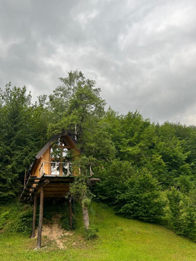 Tree House - Tara Place Mojkovac Extérieur photo