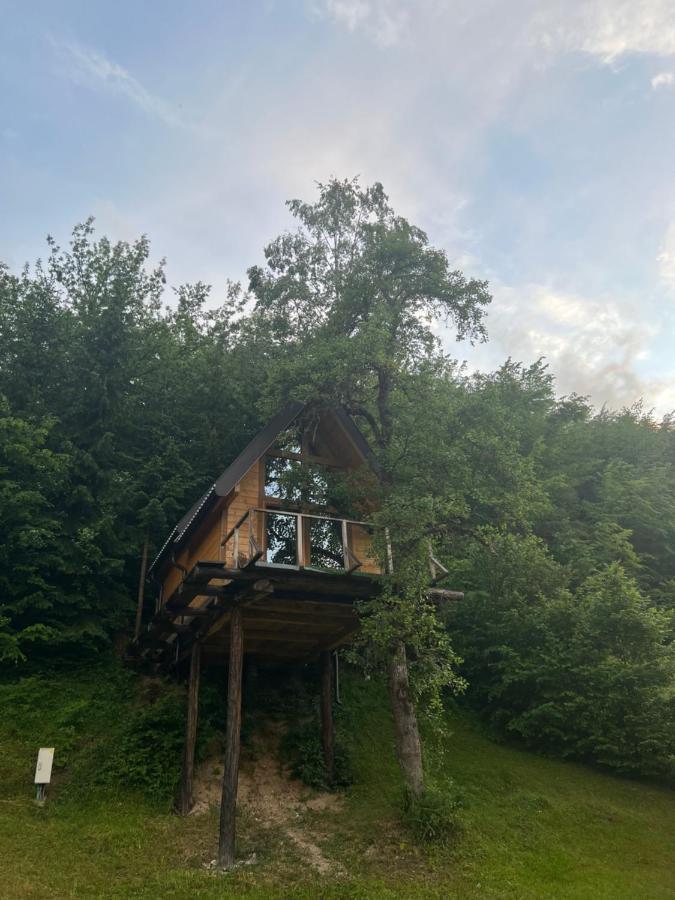 Tree House - Tara Place Mojkovac Extérieur photo
