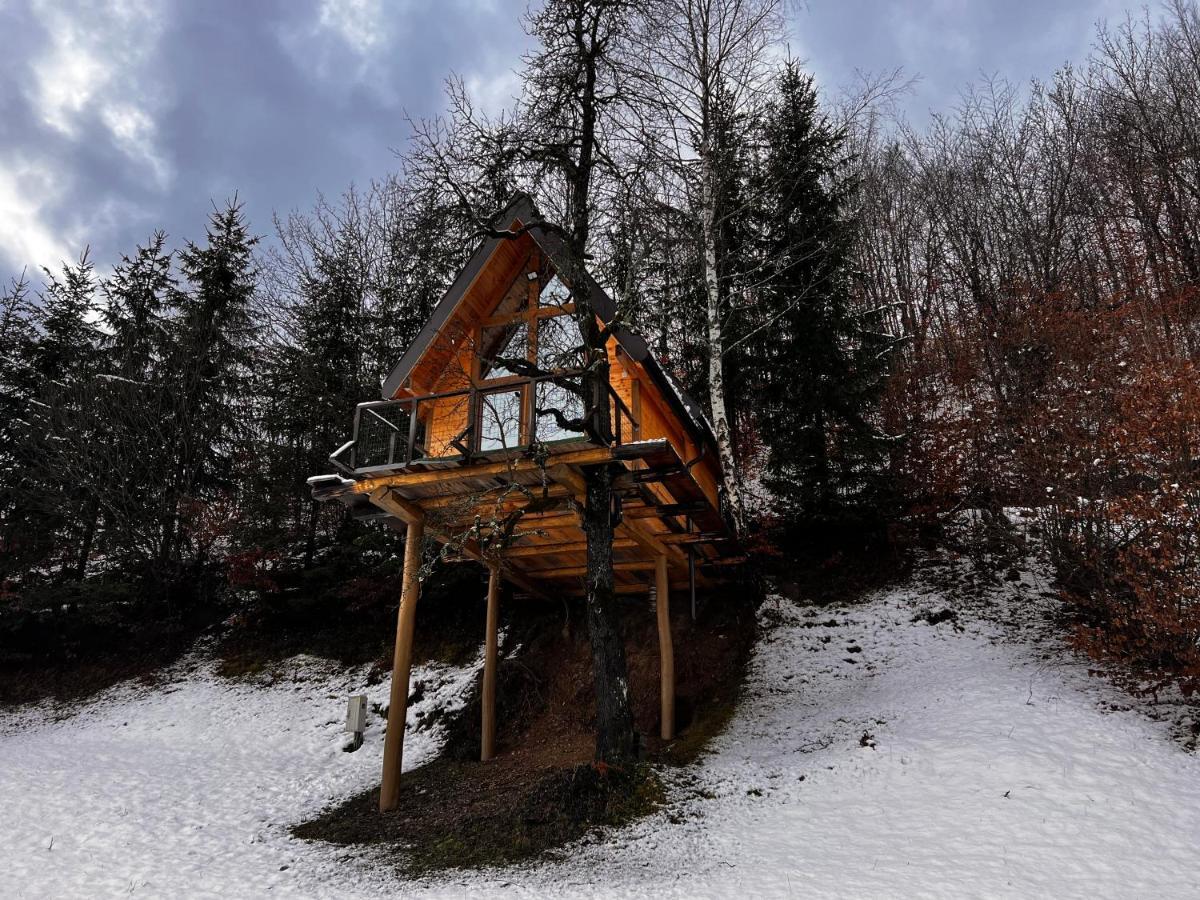 Tree House - Tara Place Mojkovac Extérieur photo