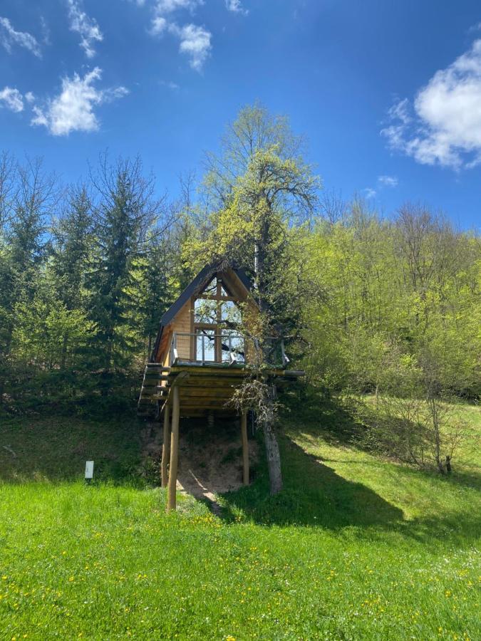 Tree House - Tara Place Mojkovac Extérieur photo